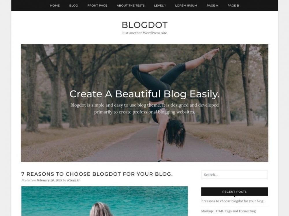 Free Blogdot Wordpress Theme