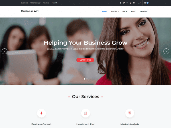 Free Business Aid Wordpress Theme