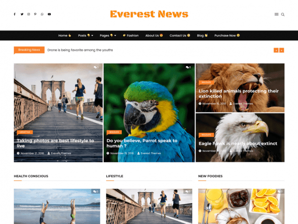 Free Everest News Lite Wordpress Theme
