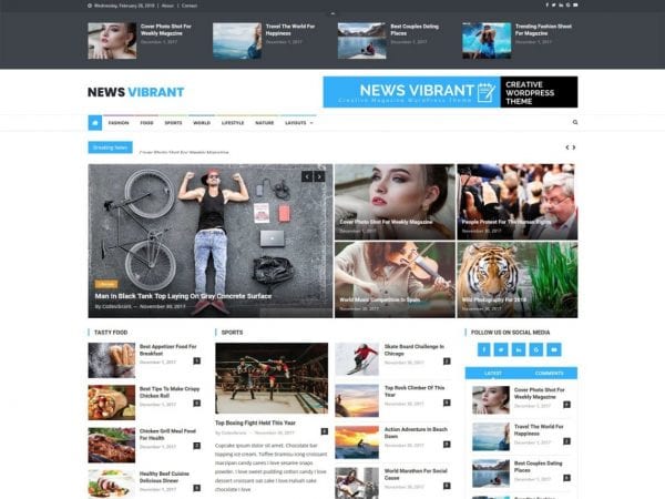 Free News Vibrant Wordpress Theme