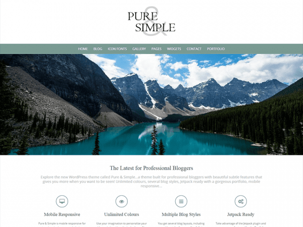 Free Pure And Simple Wordpress Theme
