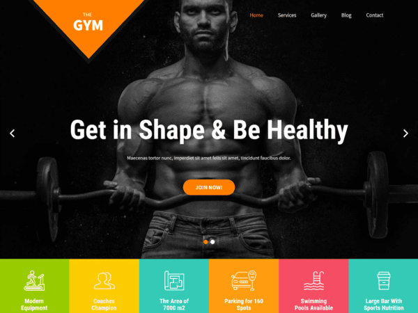 Free Skt Gym Wordpress Theme