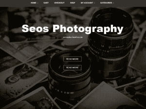 Free Seos Photography WordPress theme