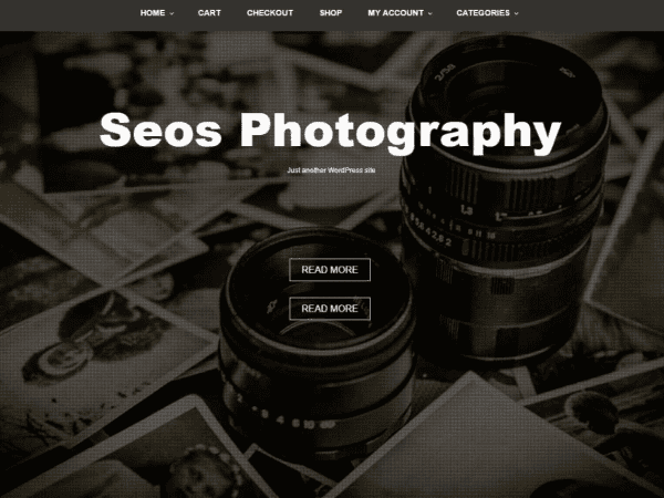 Free Seos Photography Wordpress Theme