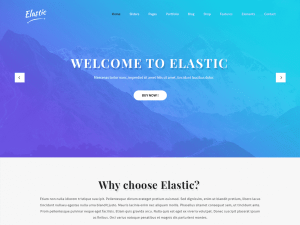 Free Skt Elastic Wordpress Theme