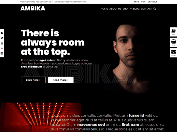 Free Ambika Wordpress Theme