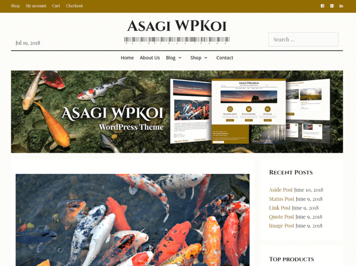 Free Asagi WordPress theme