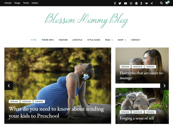 Free Blossom Mommy Blog Wordpress Theme