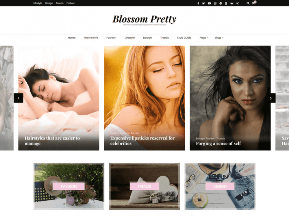 Free Blossom Pretty Wordpress Theme