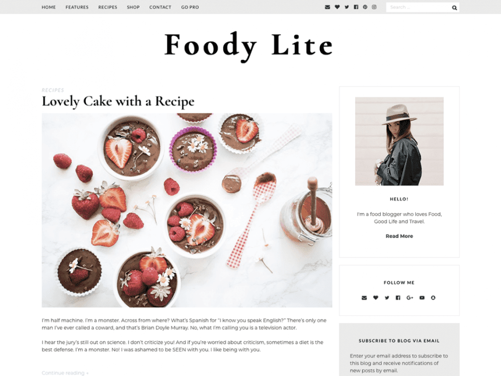 Free Foodylite Wordpress Theme