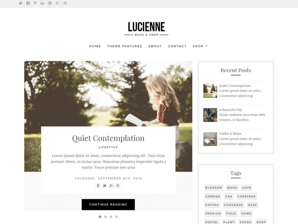 Free Lucienne Wordpress Theme