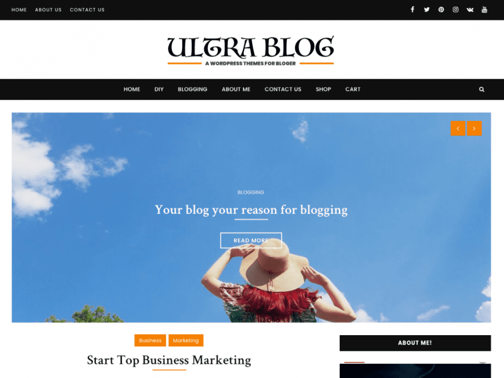 Free Ultra Lite Blog Wordpress Theme