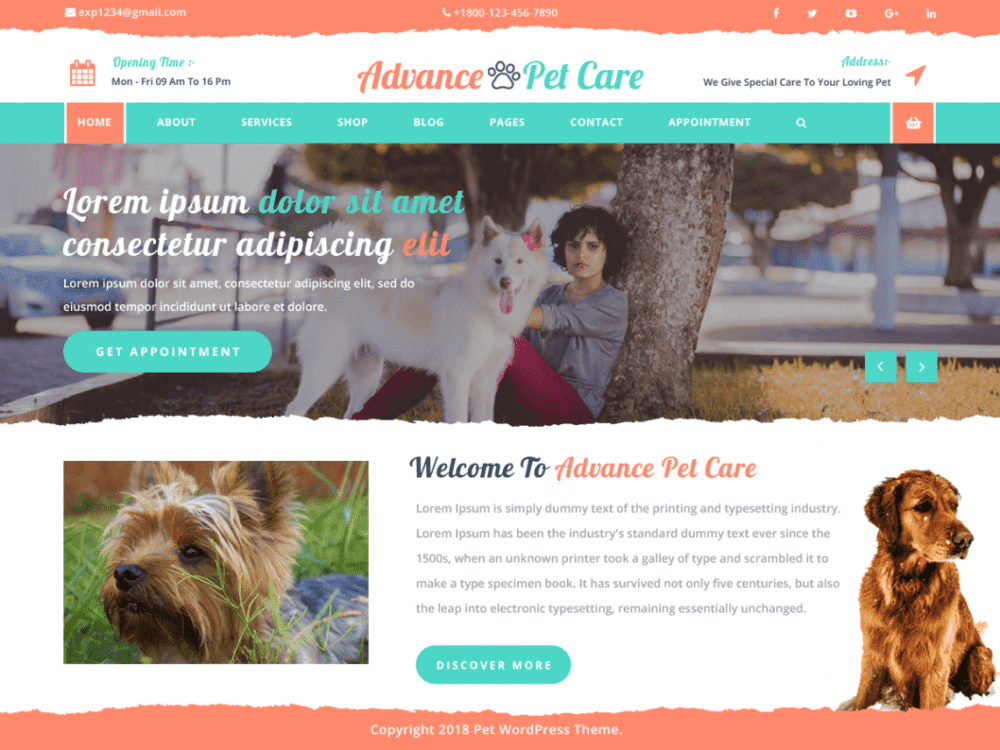Free Advance Pet Care Wordpress Theme