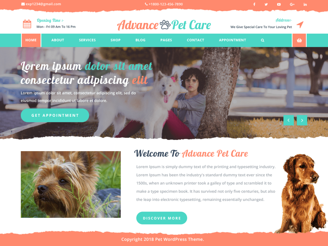 Free Advance Pet Care WordPress theme