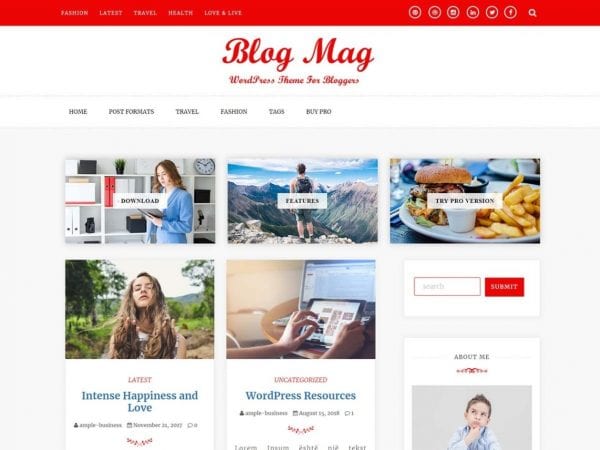 Free Blog Mag Wordpress Theme