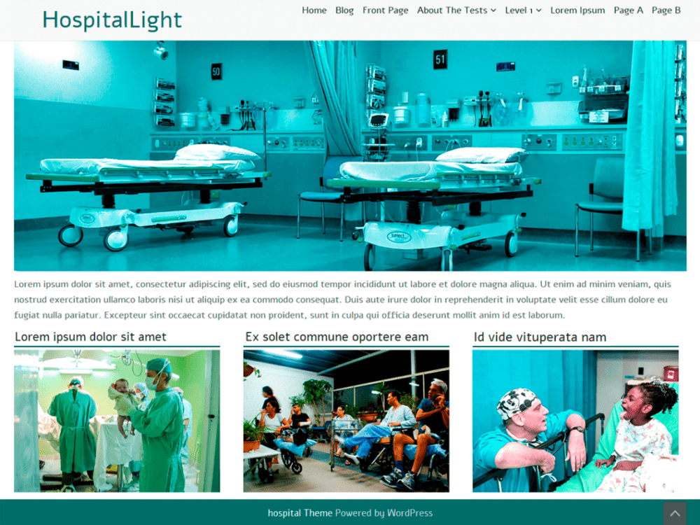 Free Hospitallight Wordpress Theme