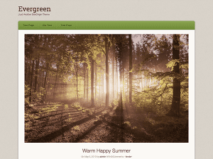 Free Origami Evergreen Wordpress Theme