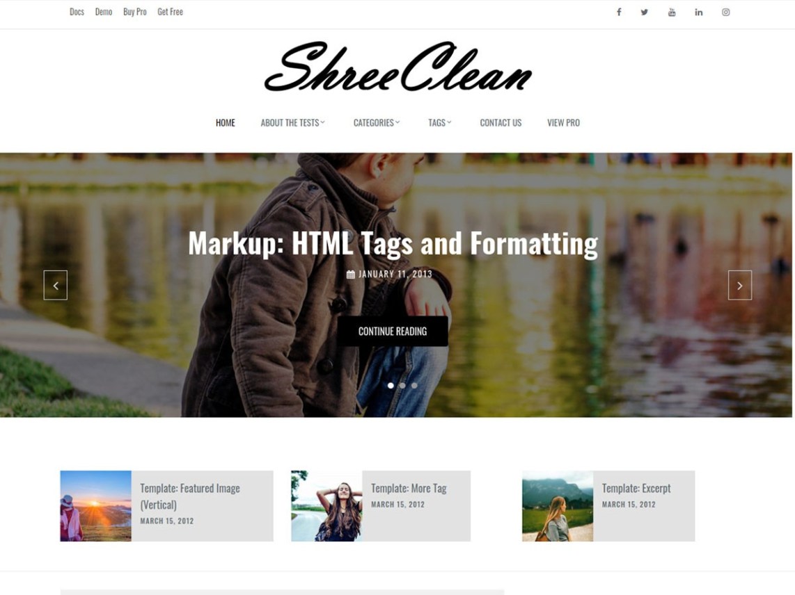 Free Shree Clean WordPress theme