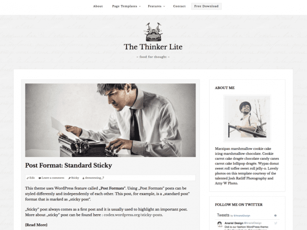 Free The Thinker Lite Wordpress Theme