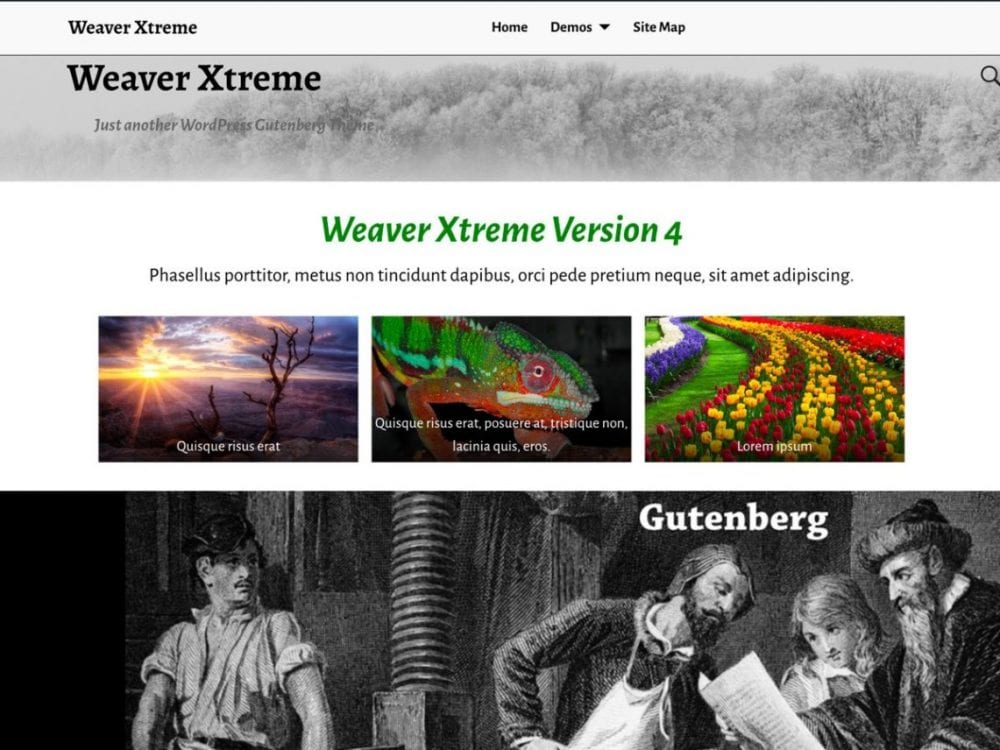 Free Weaver Xtreme Wordpress Theme