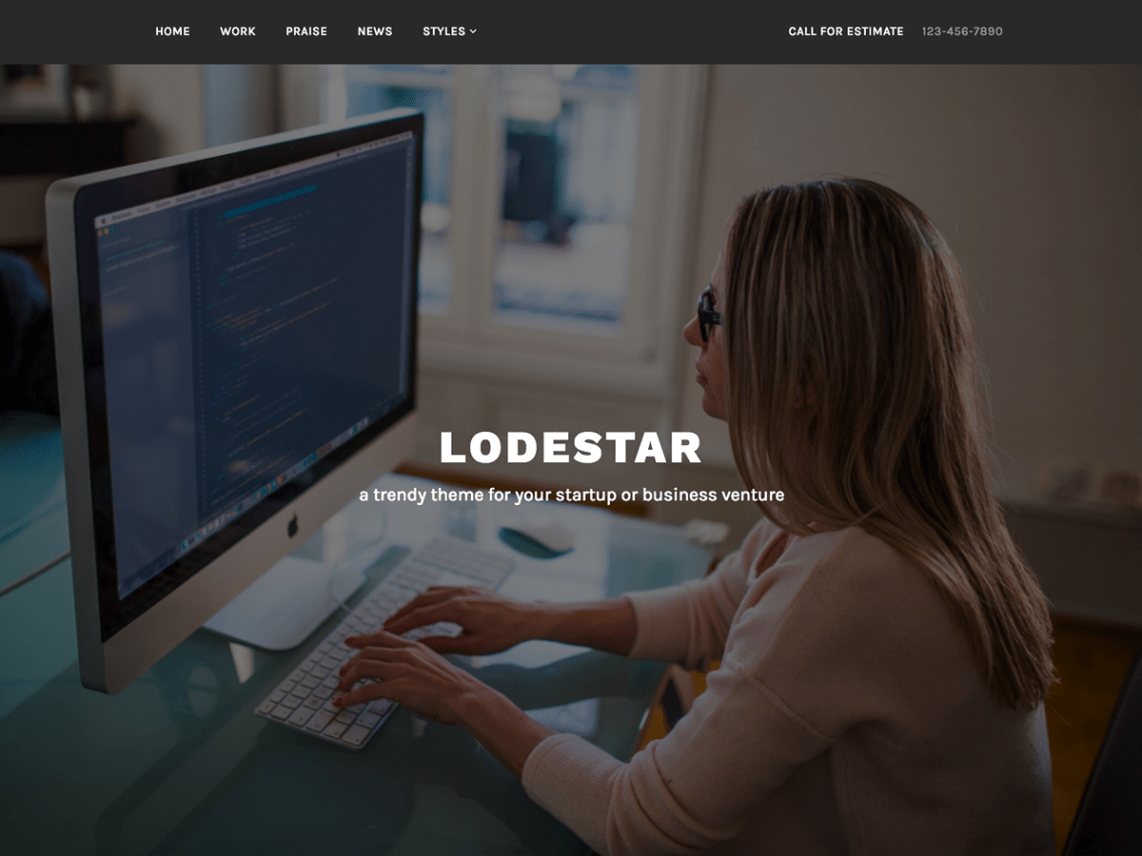 Free Lodestar WordPress theme