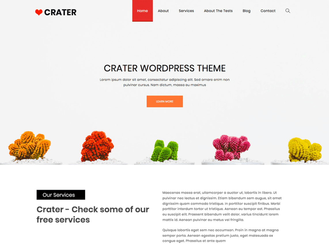 Free Crater WordPress theme