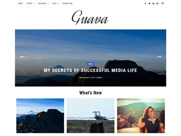 Free Guava Wordpress Theme