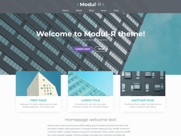 Free Modul R Wordpress Theme