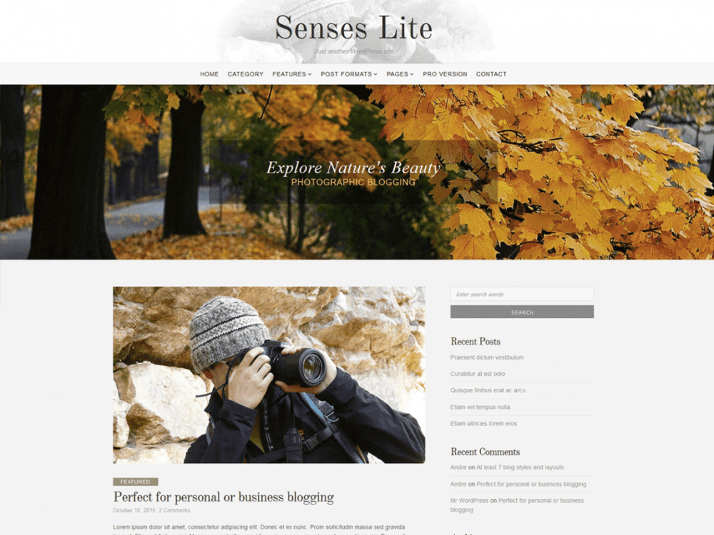 Free Senses Lite Wordpress Theme
