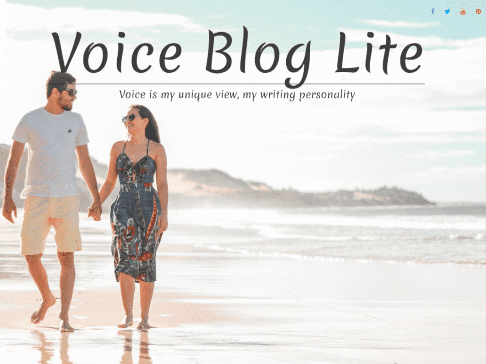 Free Voice Blog Lite Wordpress Theme