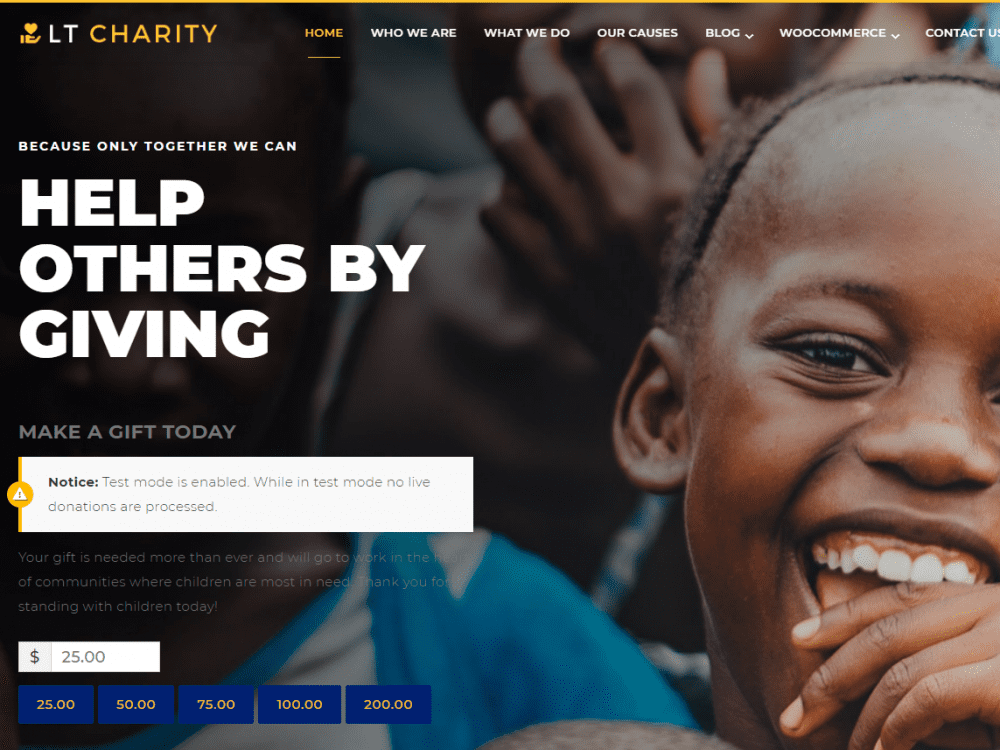 Lt Charity Wordpress Theme