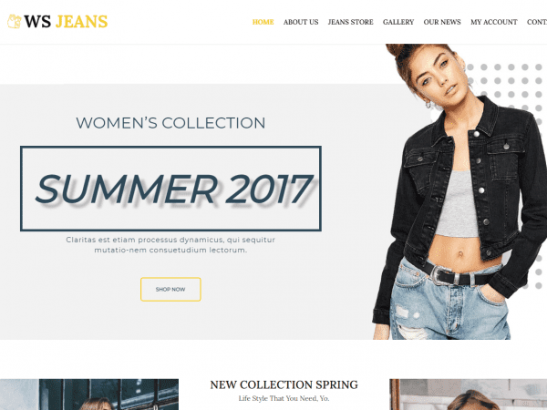 Ws Jeans Wordpress Theme
