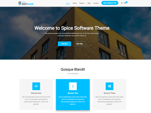 Spice Software Wordpress Theme